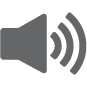 Audio Settings Icon